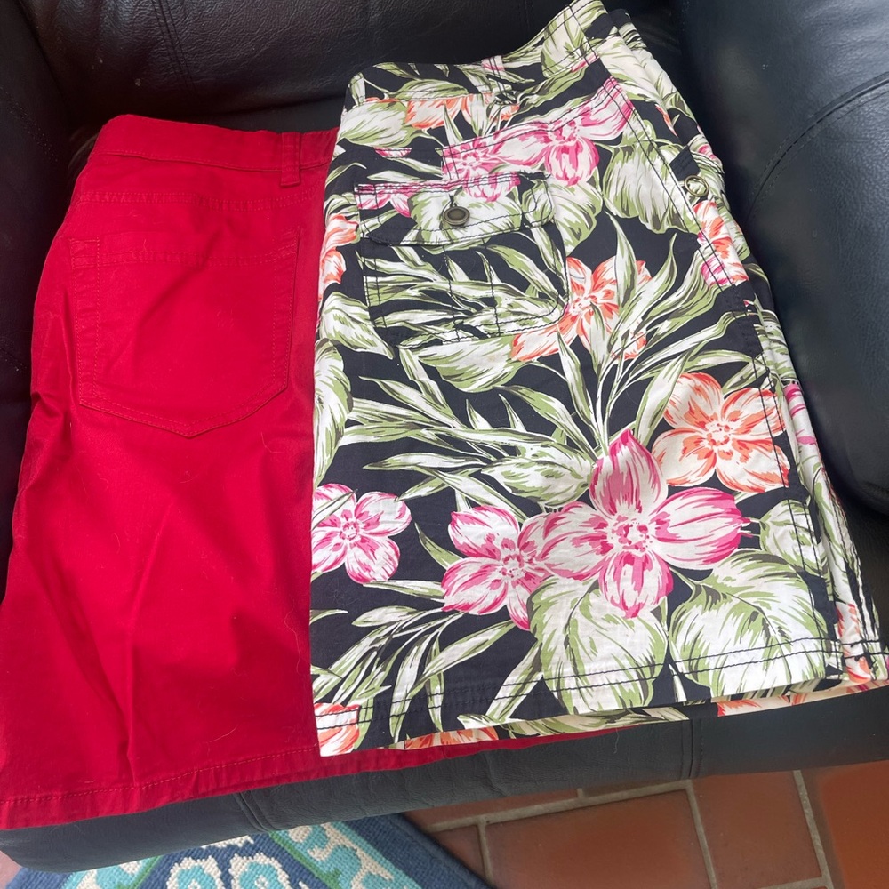 Floral and Red Skirt Set
